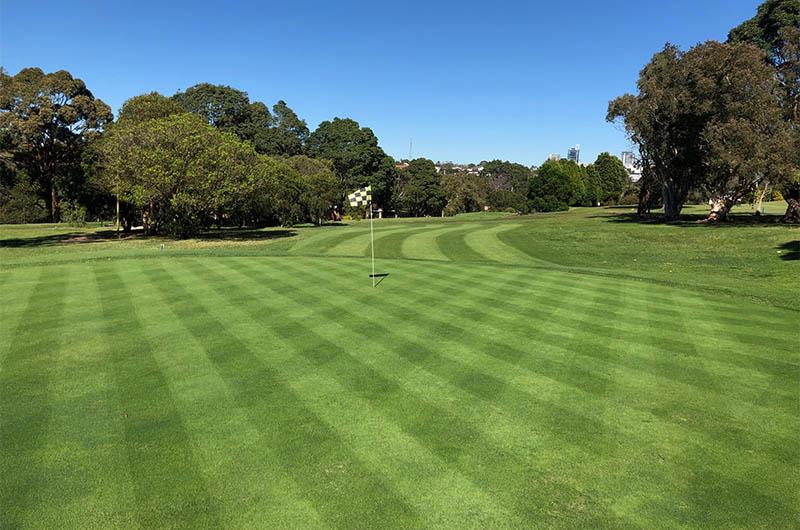 Golf Course Maintenance Services