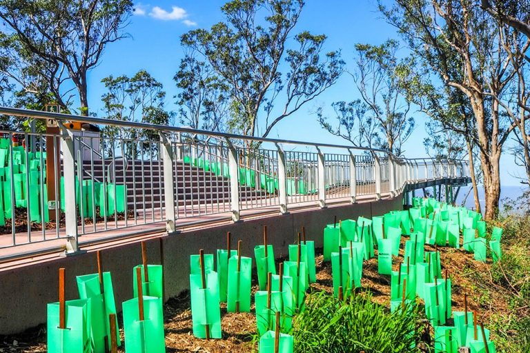 Tobruk Memorial Drive Lookout