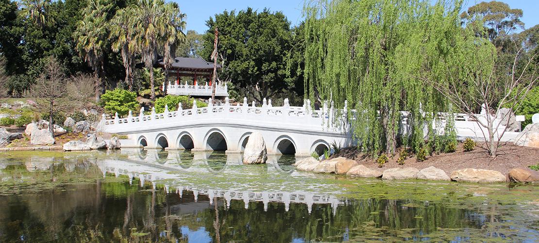 Chinese Gardens Bridge