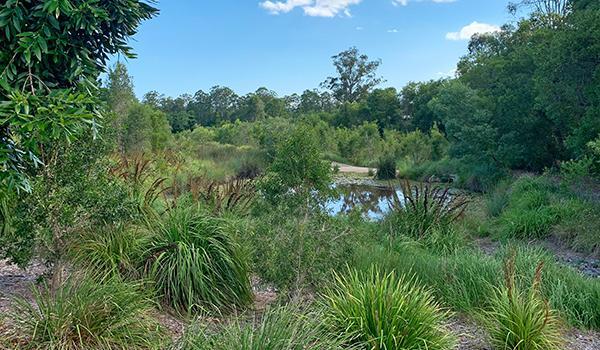 Wetland Construction & Restoration