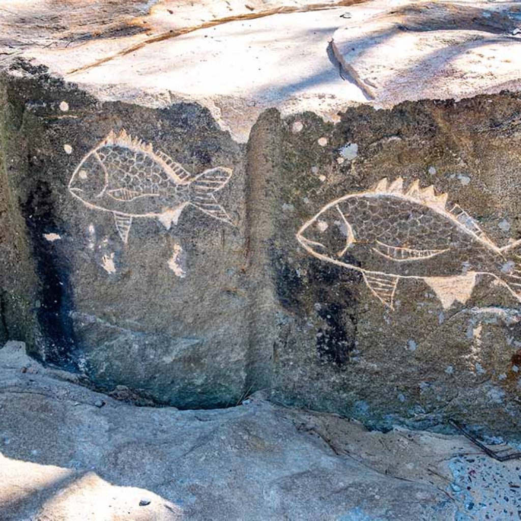 Wangal Reserve rock carvings