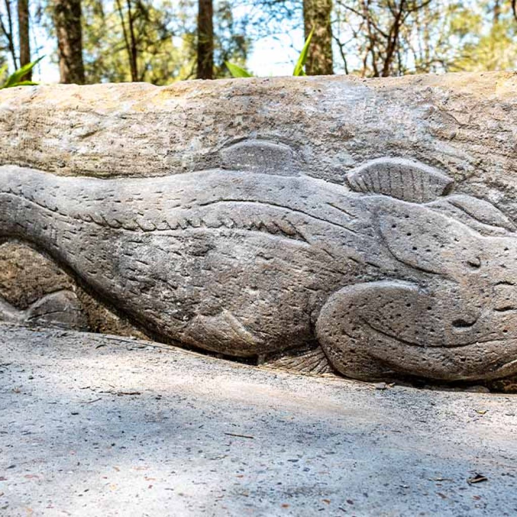 Wangal Reserve sandstone feature