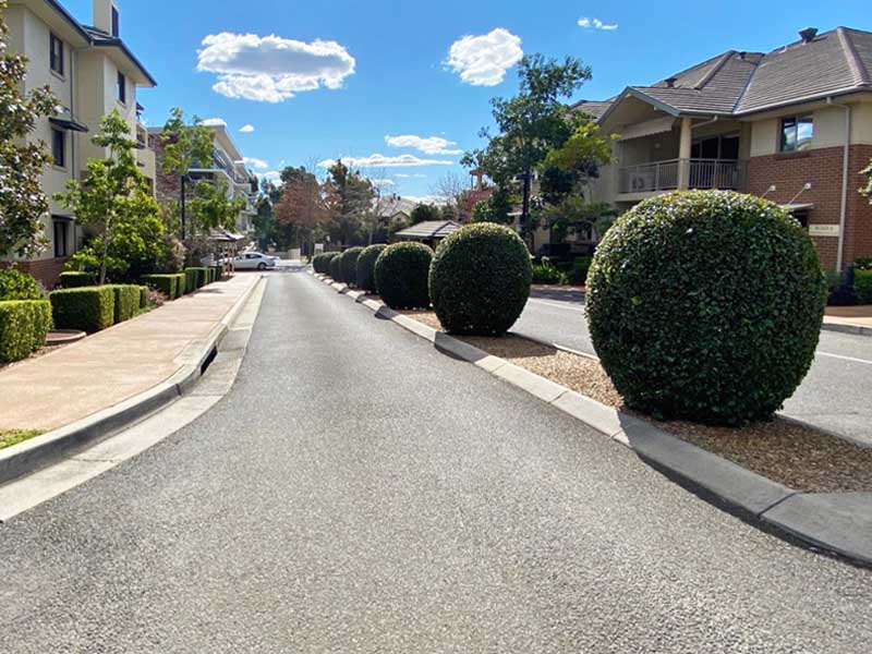 Aged Care & Retirement Hedges for Entryway