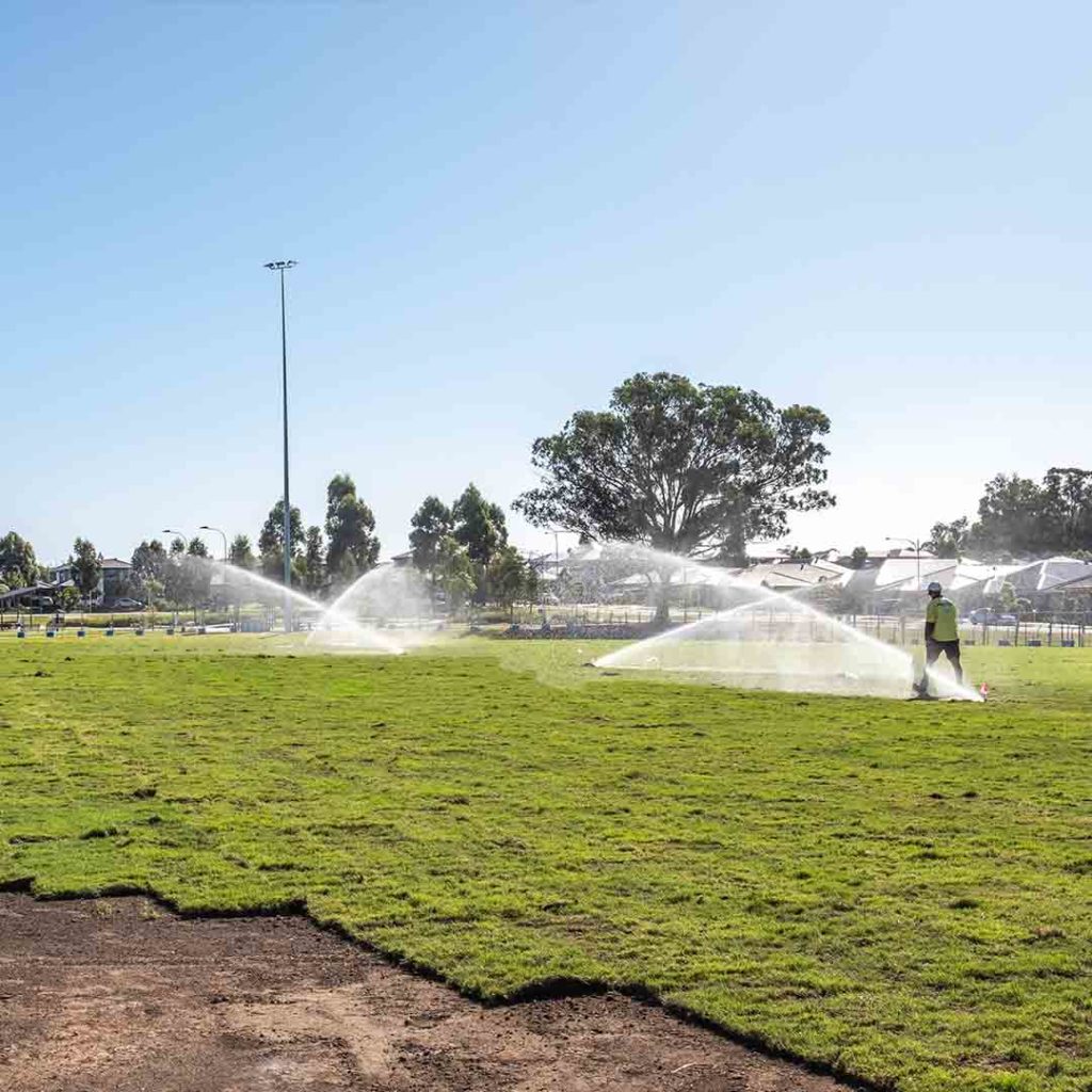 Irrigation as turf laid