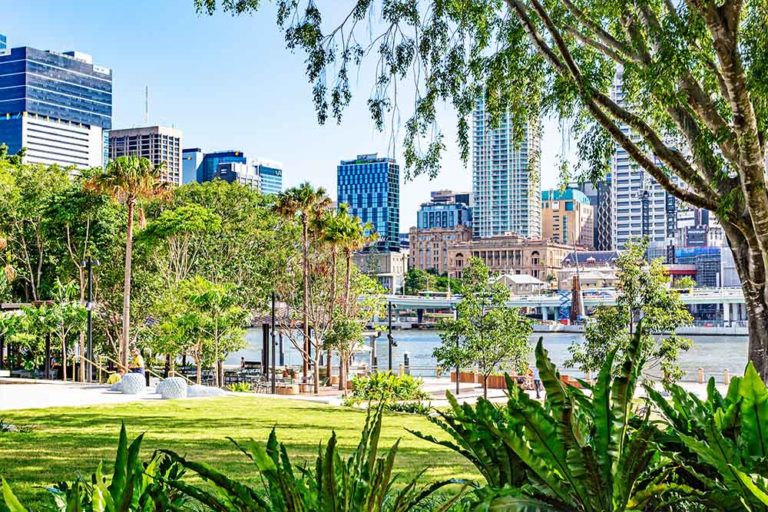 Riverside Green, Southbank Birds Nest Fern & Green Space