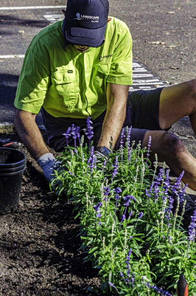 landscaping apprenticeship