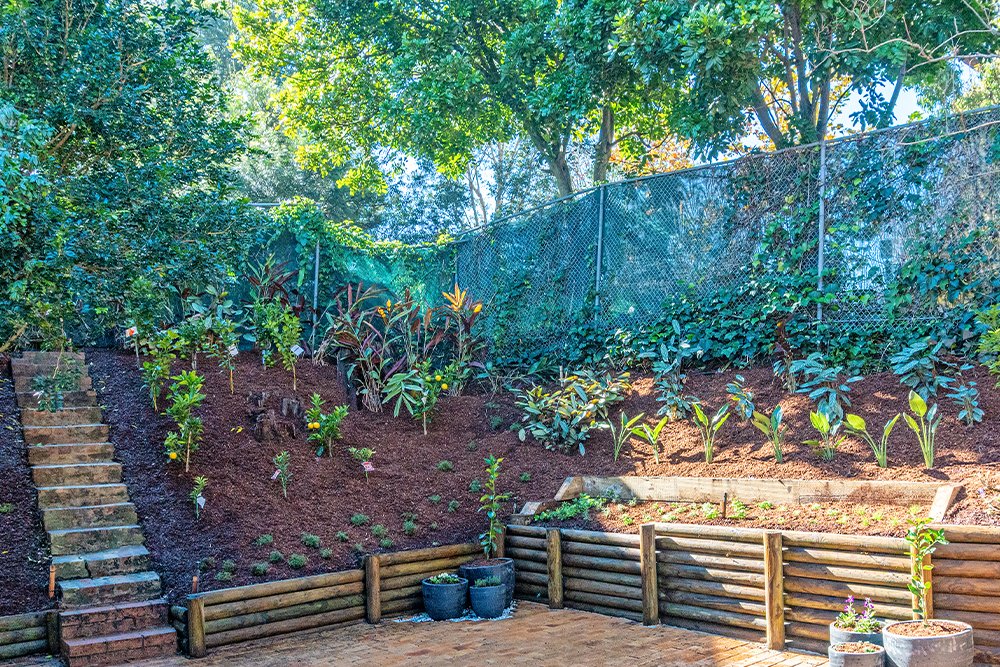 Gidget Foundation - Garden Finished