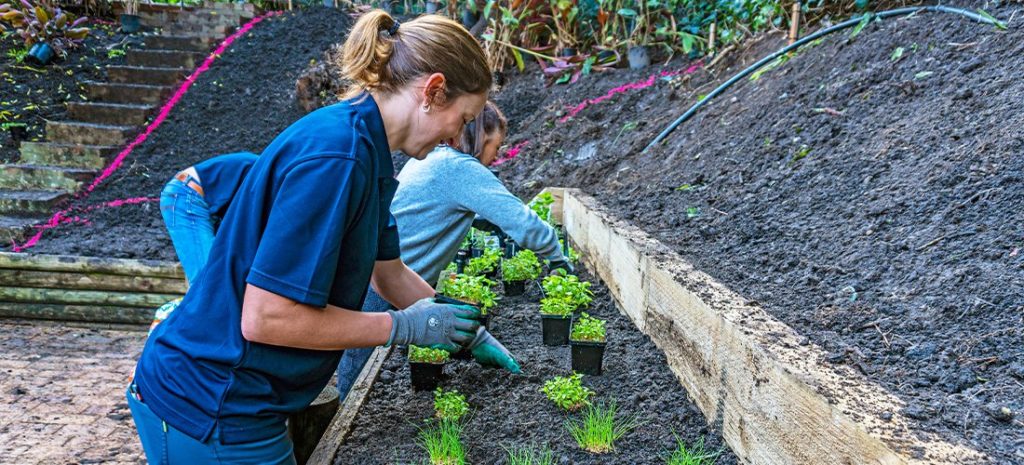 Gidget Foundation Volunteers Planting Herbs