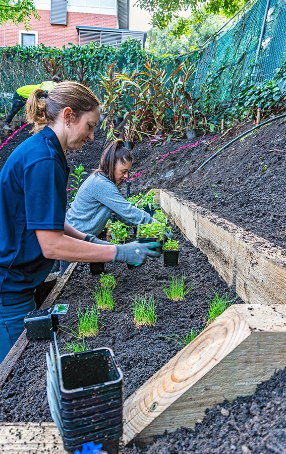 Gidget Foundation Volunteers Planting Gidget House Garden Transformation