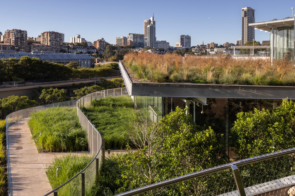 Sydney Modern Project, Art Gallery of New South Wales