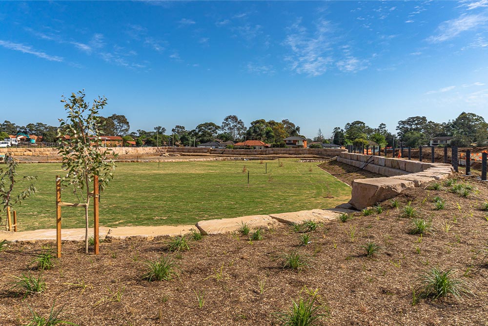 Kings Central Lawn and Sandstone Retaining Walls