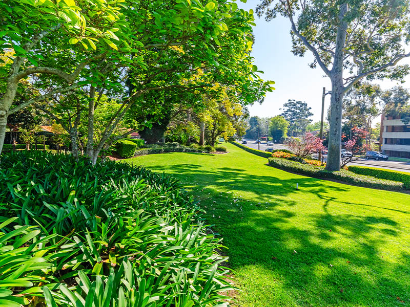 TLA Awards 2024 - Sydney Australia Temple Silver Award Winner Lawn and Gardens