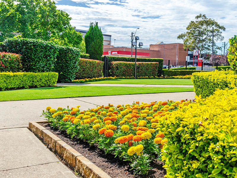 TLA Awards 2024 - Sydney Australia Temple Silver Award Winner Main Temple Gardens