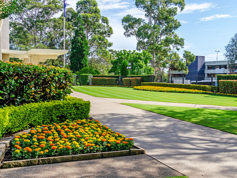 TLA Awards 2024 - Sydney Australia Temple Silver Award Winner Temple Lawn and Gardens