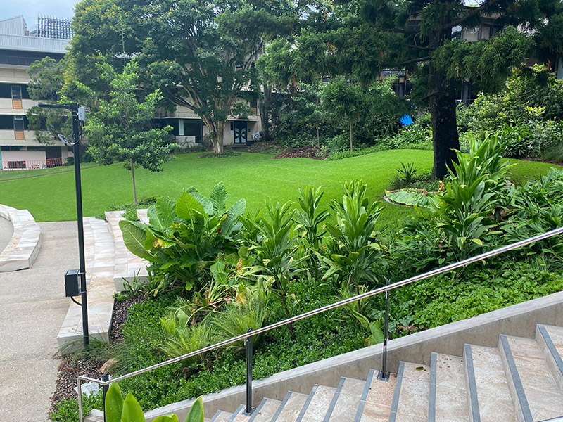 University of Queensland Amphitheatre