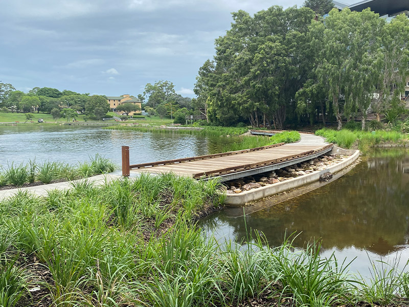 University of Queensland Lake & Bridge