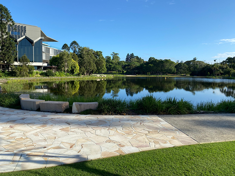 University of Queensland Lake and Surrounds