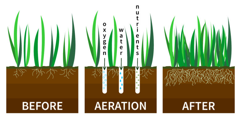 Lawn Aeration