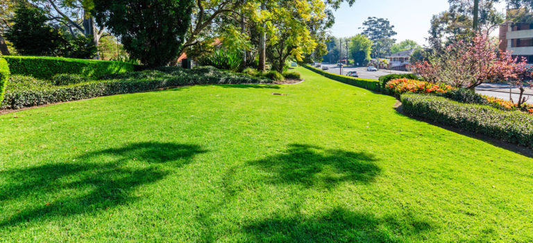 Turf in Australian Climate